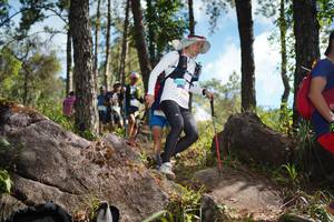 BIB: 
                            <button type="button" onclick="openModal(18955129)" class="btn btn-primary btn-sm float-right btn-popup" data-toggle="modal" data-target=".modal-high-quality">
                        <i class="fas fa-shopping-cart"></i> Add to Cart
                    </button>
                                            <button type="button" onclick="isThisMe(18955129, true)" class="btn btn-success btn-sm float-right btn-popup btn-isme hidden" data-toggle="tooltip" data-placement="bottom" title="นี่คือรูปของคุณใช่ไหม คลิกที่นี่เพื่อเอาเข้าอัลบั้ม">
                        <i class="fas fa-plus"></i> Add to album
                    </button>
                    <button type="button" onclick="isThisMe(18955129, false)" class="btn btn-warning btn-sm float-right btn-popup btn-isnotme hidden">
                        <i class="fas fa-ban"></i> Remove from album
                    </button>